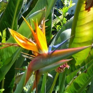 Meet your Posher, Laurie